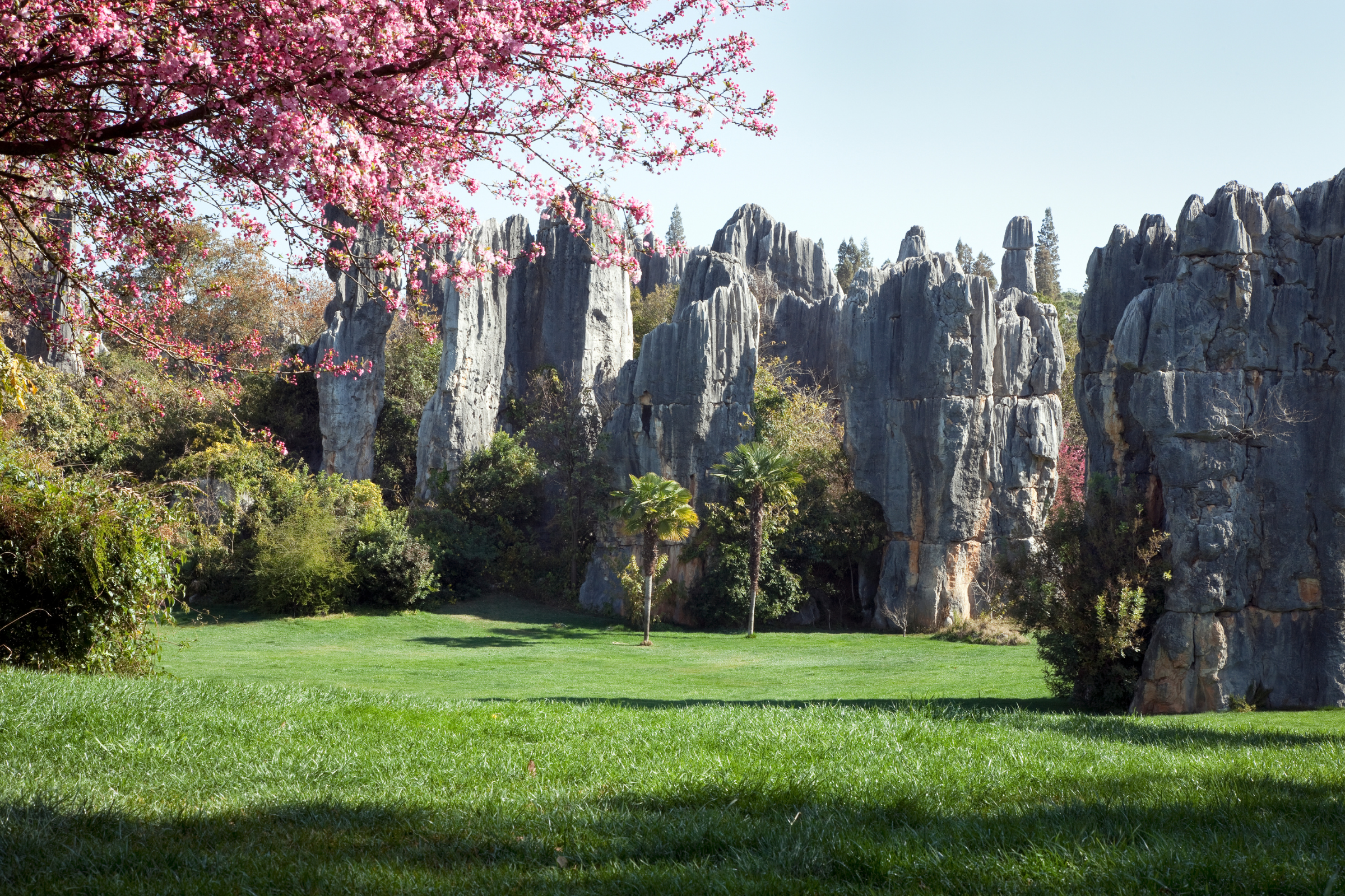 kunming (4).webp